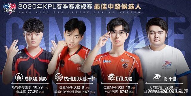 毛球爱好者