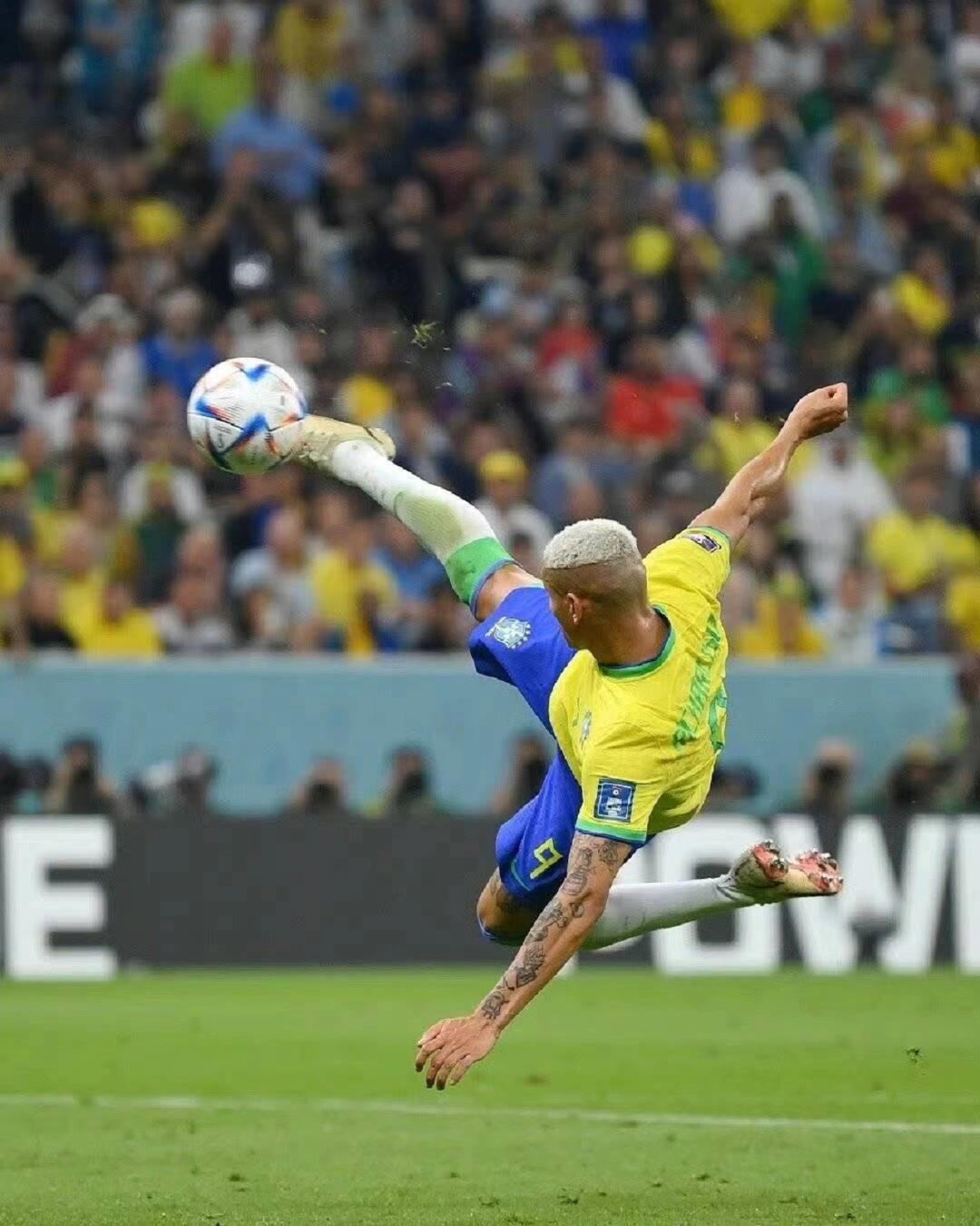 添了更多的 添了更多的