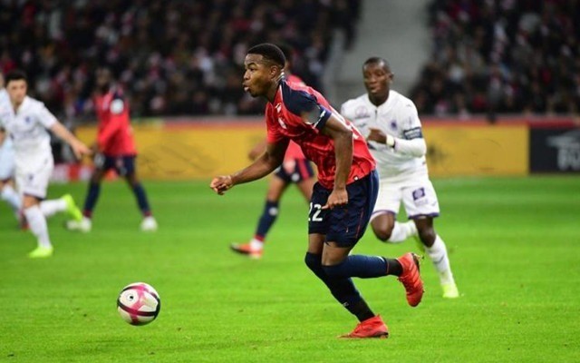 越来越多足 越来越多足