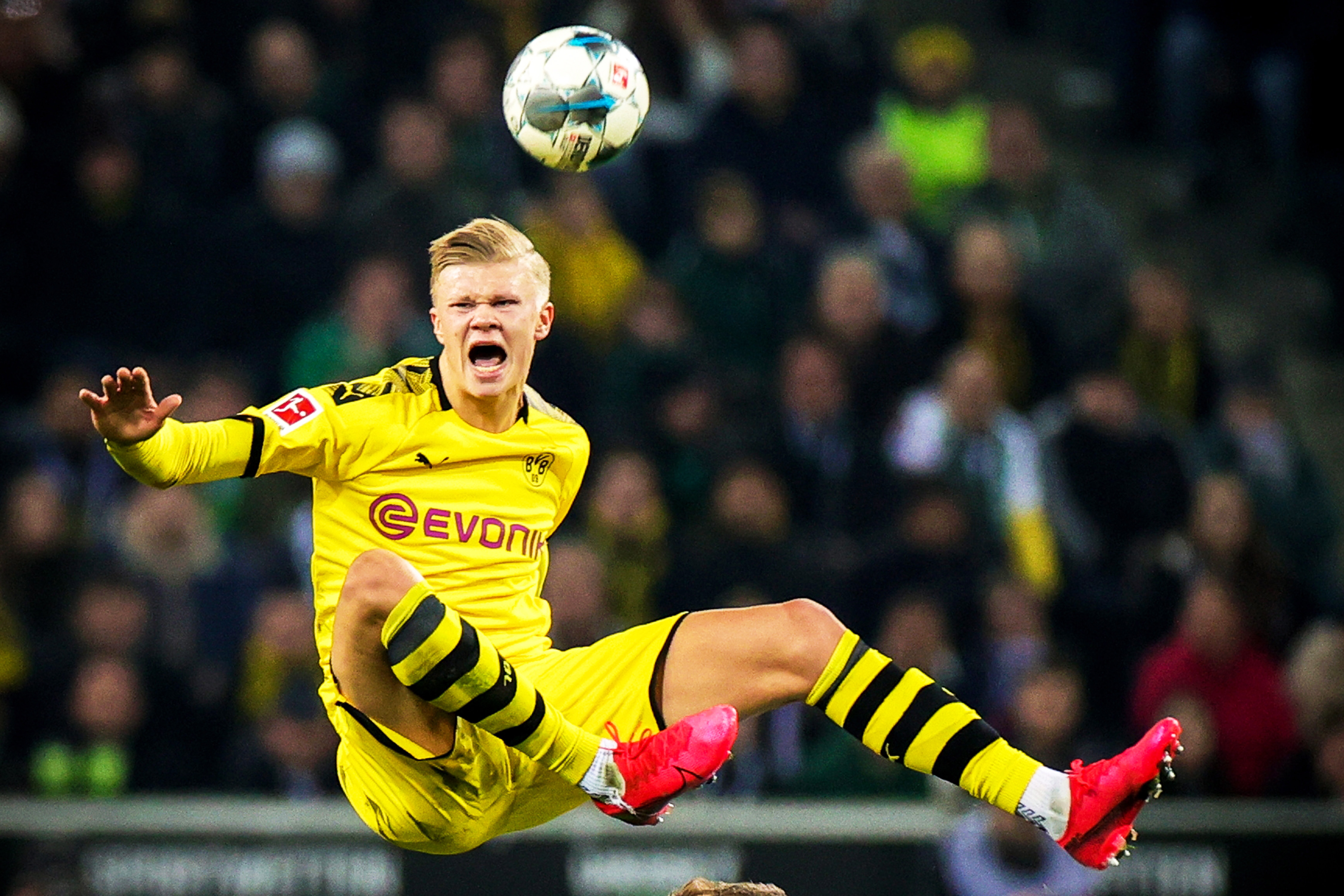 条清晰可执 条清晰可执