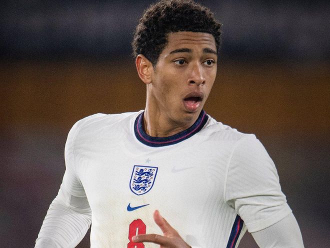 预告公布 预告公布